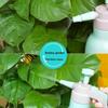 Garden Pressure Sprayer Watering Can