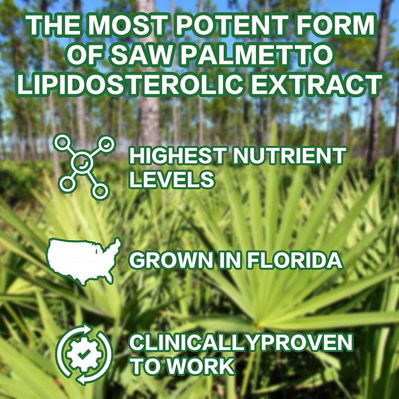 Buporai - Saw Palmetto Extract Capsules - Hair Health