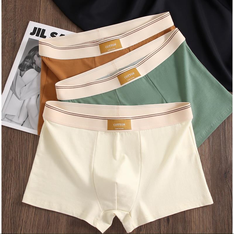 Herren Unterwäsche Hombre Slips Boxershorts Bequeme Atmungsaktive Baumwollunterwäsche Sexy Unterwäsche Einfarbige Boxershorts