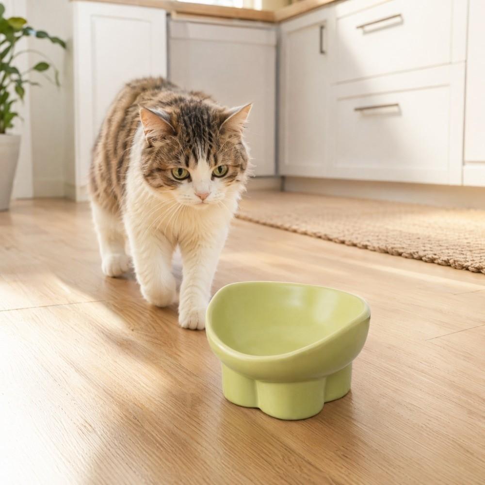 Large Diameter Neck Protection Bowl Anti-knock Pet Food Bowl Elevated Cat Bowl for Pets Cats Dogs