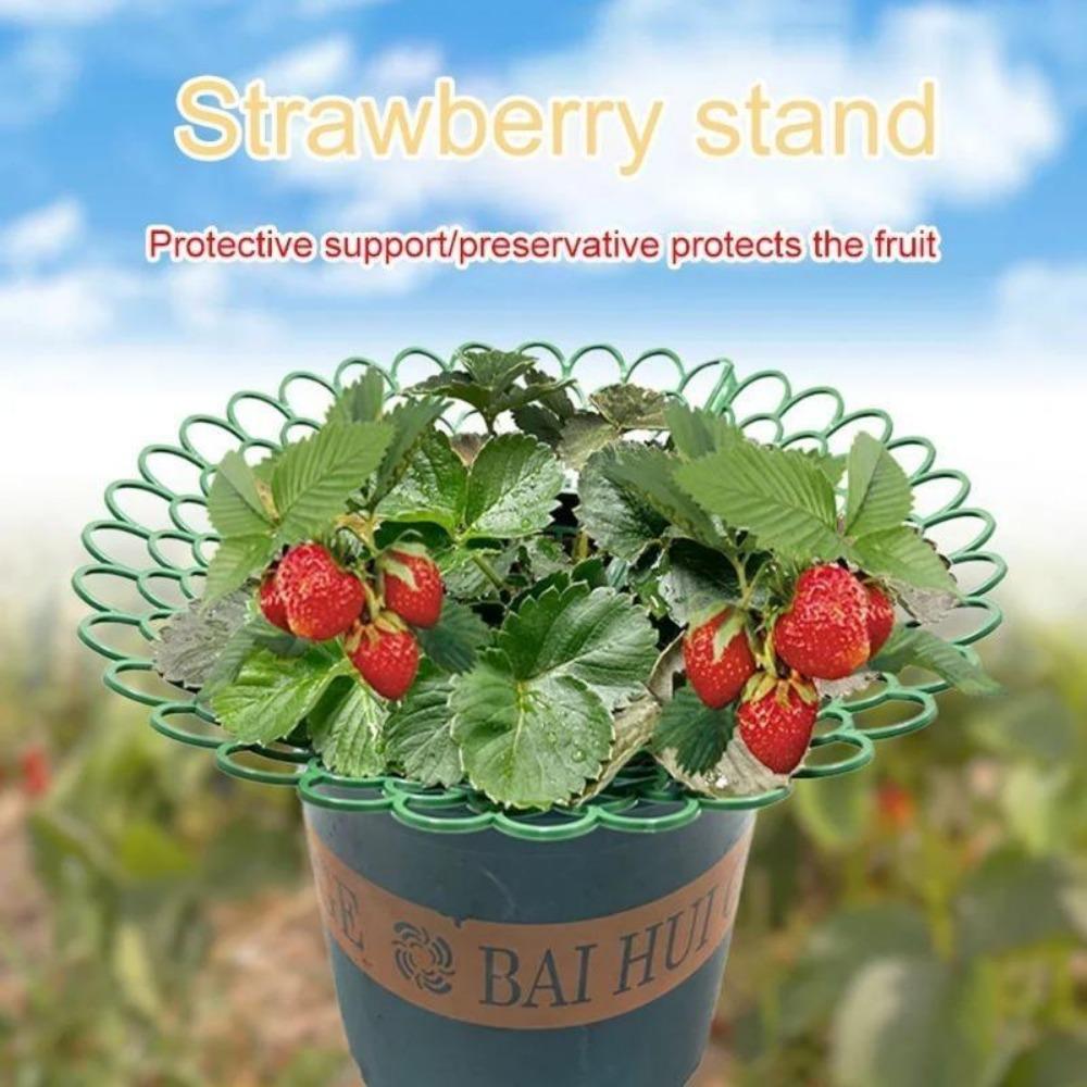 Strawberry Planting Tray Holder Gardening Potted Fruit Family Green Plant Splicing Anti-rot Fruit Shelf Support Rack Potted Vegetable Tray Rack