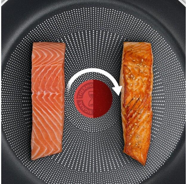 Сковорода Tefal G30302 Titanium Force 20 см