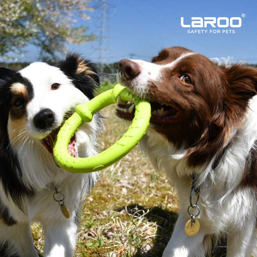 LaRoo Teddy Hund Dental Kauspielzeug Langlebig für Kleine Runde Frisbee 18cm Stressabbau und Mittel für Haustierintelligenz Schwimmendes Trainingsspielzeug, Hunde,