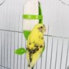 Cage Holder Bird Cage Feeding Holder Feeding Holder Parrot Food Feeder Bird Feeder  for Parrot