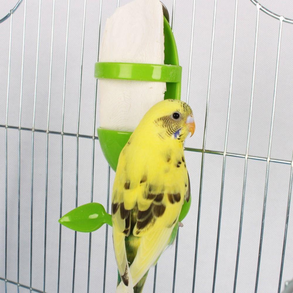 Cage Holder Bird Cage Feeding Holder Feeding Holder Parrot Food Feeder Bird Feeder for Parrot