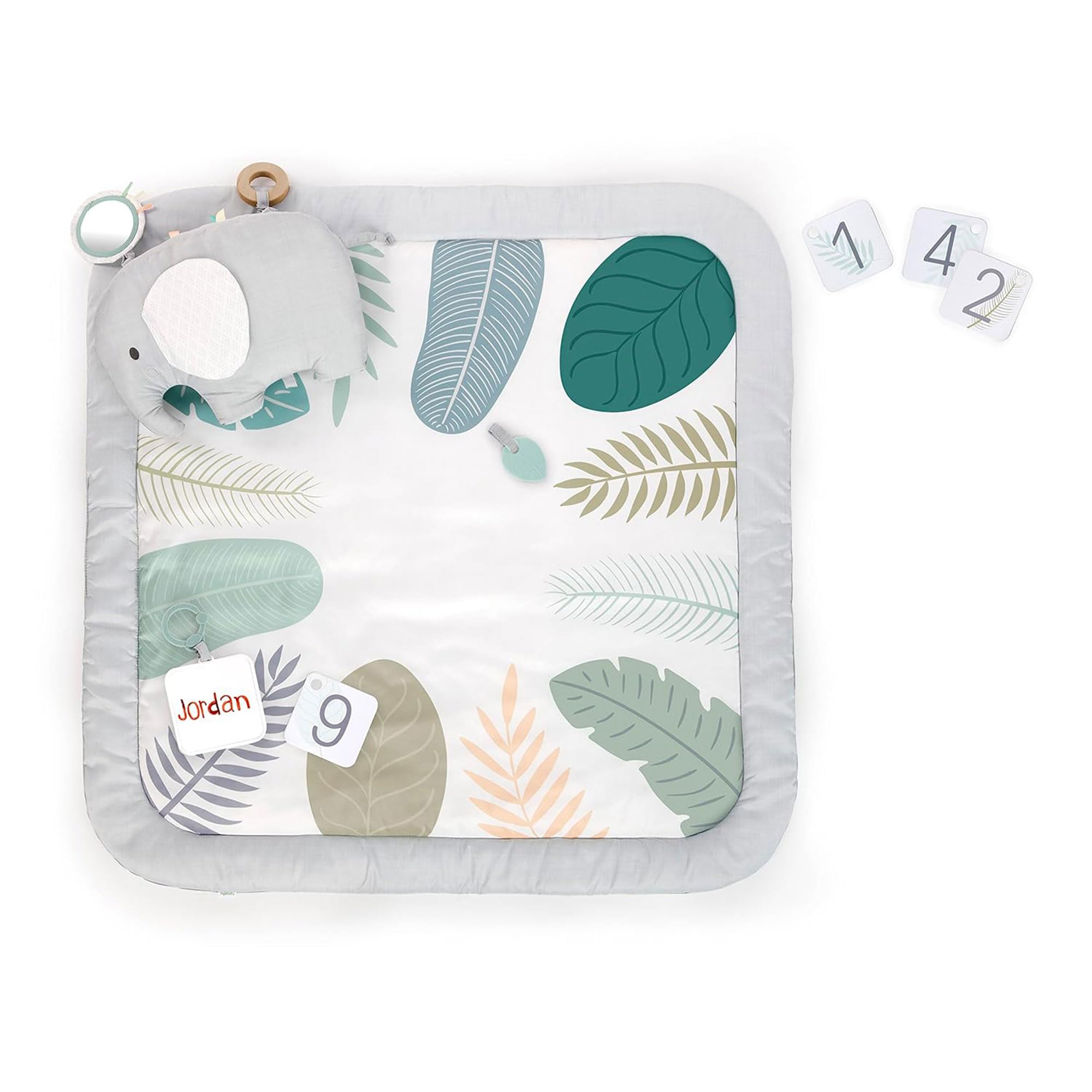 

Ingenuity Monthly Photo Spot Baby Play Mat [0 Months and Up] Nap Art, Sleeping Position Art, Face Down, Sitting Up, 12811