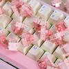 NDIY Freyja Leiser Magnetischer Schalter Benutzerdefinierte Magnetische Tastatur Vorgeschmiert Haimu Fabrikproduktion RGB 37GF Für Gaming-Kit