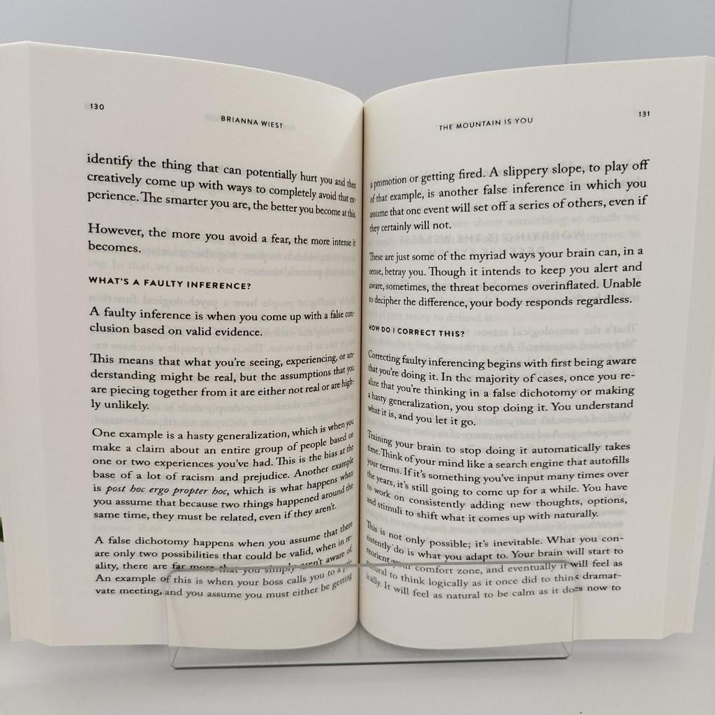 The Mountain Is You: Self-Transformation Bulk Discount