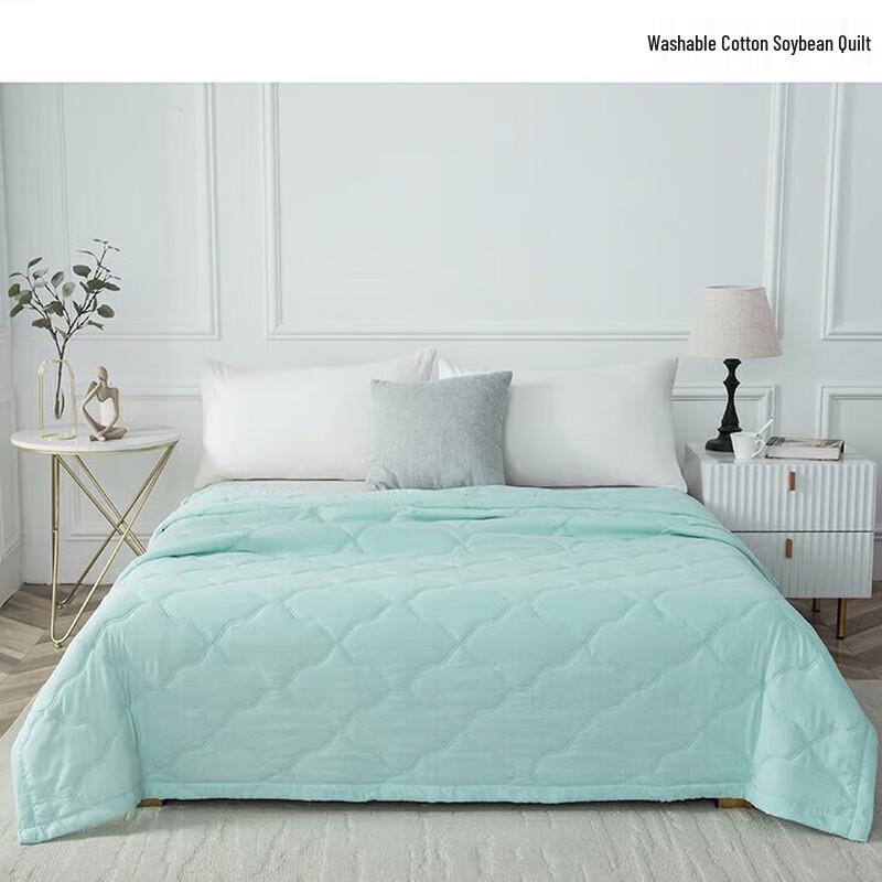 

Fang en All-Season Skin-Friendly Washed Cotton Soybean Fiber Quilt