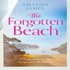 The Forgotten Beach by Amanda James Paperback Book 9780008550615