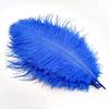 10Pcs Ostrich Feathers Decorative Vase Pluma Wedding Table Centerpieces Carnival Accessories DIY Creative Leisure Craft Supplies