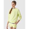 Hoodie 4F 4FJWSS24TSWSF0920-72S