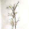 Wall Hanging Artificial Rattan Vine Wreath Shape Grape Leaves Artificial Faux Plants Tree DIY Decorative Fake Branch Home Decor