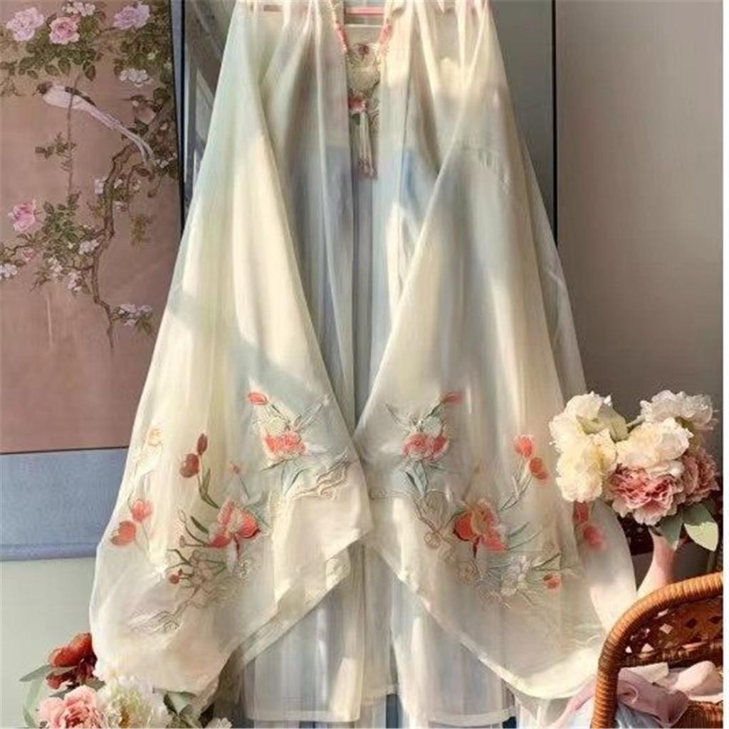 Chinese Tang Dynasty Style Hanfu Embroidered Large Sleeve Shirt HE ZI Skirt Daily Suit For Women
