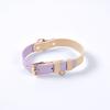 2025 Hot Eco-Friendly Soft  Breathable Leather Modern Dog Collar with Leashes Set For Pets