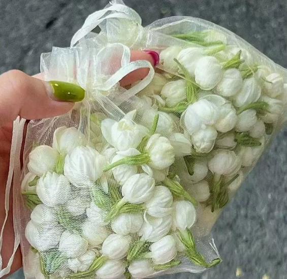 

Набор из 5 саше с ароматом жасмина: Автомобильный, Гардеробный и Комнатный Аромаподвеска