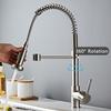 Pull-Out Kitchen Faucet with Spring Spout