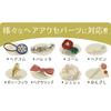 Sasagawa Original Works Photo Shoot Kit Hair Accessory Display Kit - (35-5007)