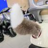 Bebek ve Peluş Oyuncaklar – Doldurulmuş ve Peluş oyuncak hayvanlar