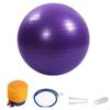 Inflatable Fitness Ball with Pump Exercise Stability Molded Rings 55CM Purple