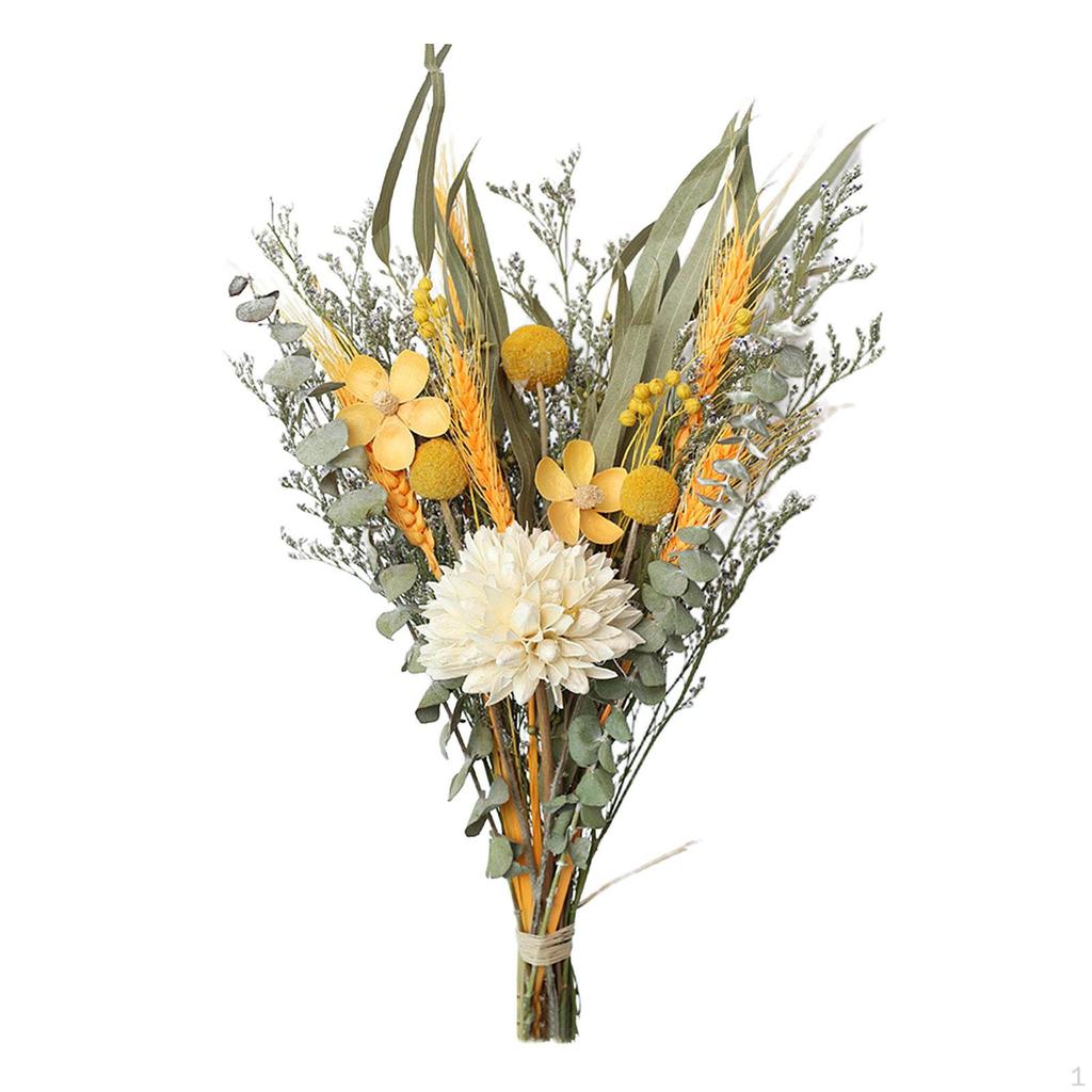 Eucalyptus Daisy Dried Plants Flower Ornaments Handmade for Heimwerken Vase Wedding Party