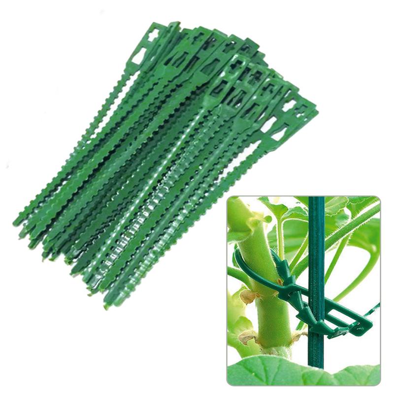 10-100PCS 13/17/22cm Adjustable Plastic Plant Cable Ties Reusable Shrub Fastener for Garden Tree Climbing Support Vine Tomato Stem Clip