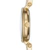 Michael Kors MK3295 Mini Darci Ladies Watch