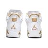 Jordan 6 Retro Golden Moments Pack 6 384664-135