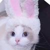 Haustierhut Leichtgewicht Polyester Weich Bequem Tragbar Niedliche Katzenmütze für Katzen Hunde Weißes Kaninchen