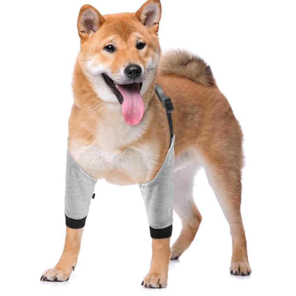 Tutore per Zampe di Cane in Neoprene Traspirante Opzioni Multi-Taglia Fasciatura Canina Recupero Post-Infortunio