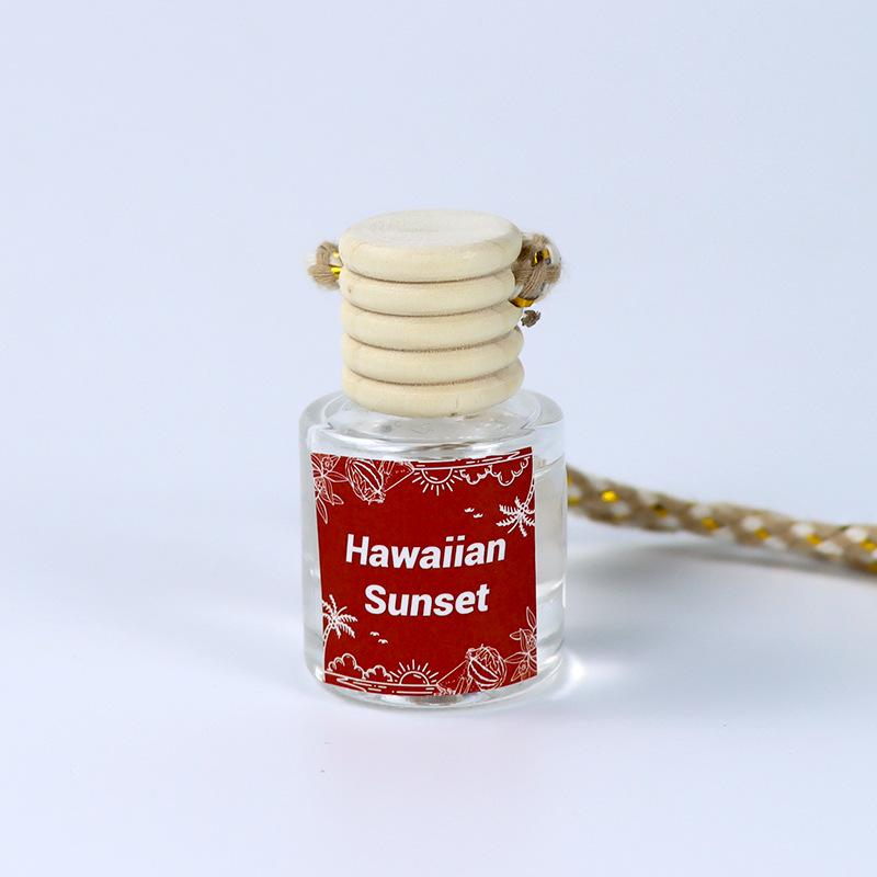 Hanging Car Air Freshener Gift Set: Long-Lasting Essential Oil Aroma, 4-Pack
