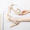 High-heeled Sandals 22 Temperament New Waterproof Platform Thick-soled Fashion Thick-heeled Model Large-size Catwalk Shoes Hot Air