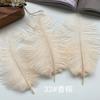 Ostrich Hair Colored Feathers 20-25Cm Wedding Table Lamp Decoration Stage Diy Material Clothing Accessories