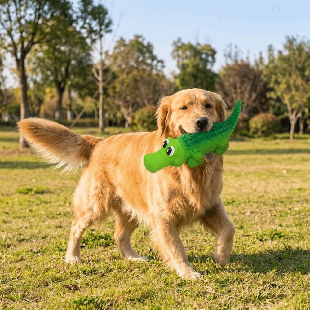 Vivid Green Latex Puppy Chew Toy Interactive Dog Training Toy  Outdoor Fetch Training S
