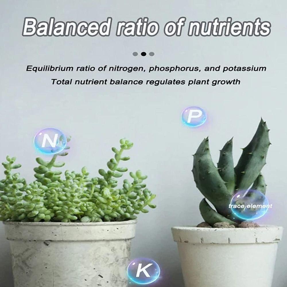 Bone Meal Fertilizer Organic Fertilizer All-purpose Fertilizer Slow-Release Tablet Ease Plant Food