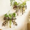 Vase Wall Mounted Planter Wooden Flower Pot Flower Holder Wall Decoration  Living Room