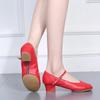 Female Dance Shoes with Soft Sole, Mid Heel, Dance Practice Shoes, Teacher's Four Season Ballroom Dance Two-point Shoes