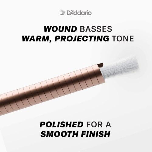 D'Addario ProArte Classical Guitar Strings, Silver/Black, Normal, EJ49