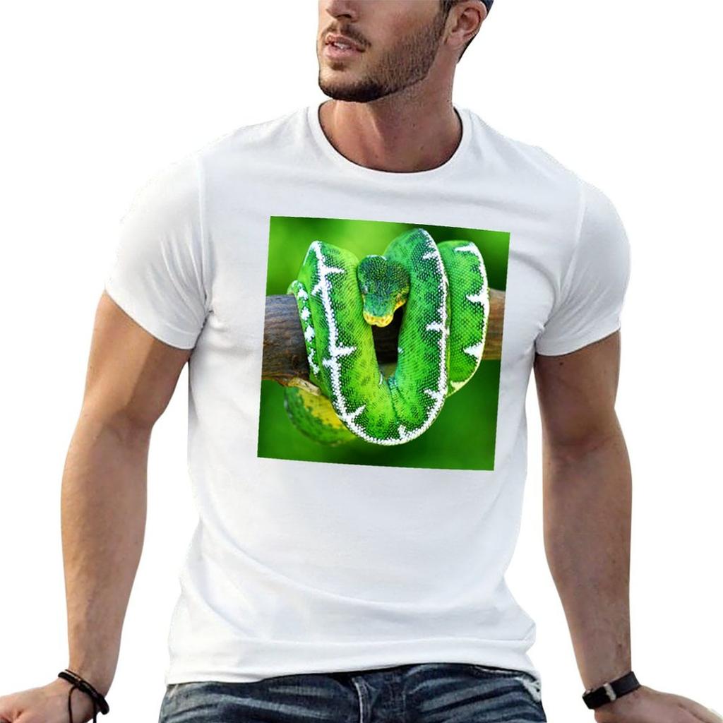 Emerald Tree Boa Tshirt T Shirts For Unisex Graphic Tees Anime Tshirt Cotton T Shirt Pack Tshirt
