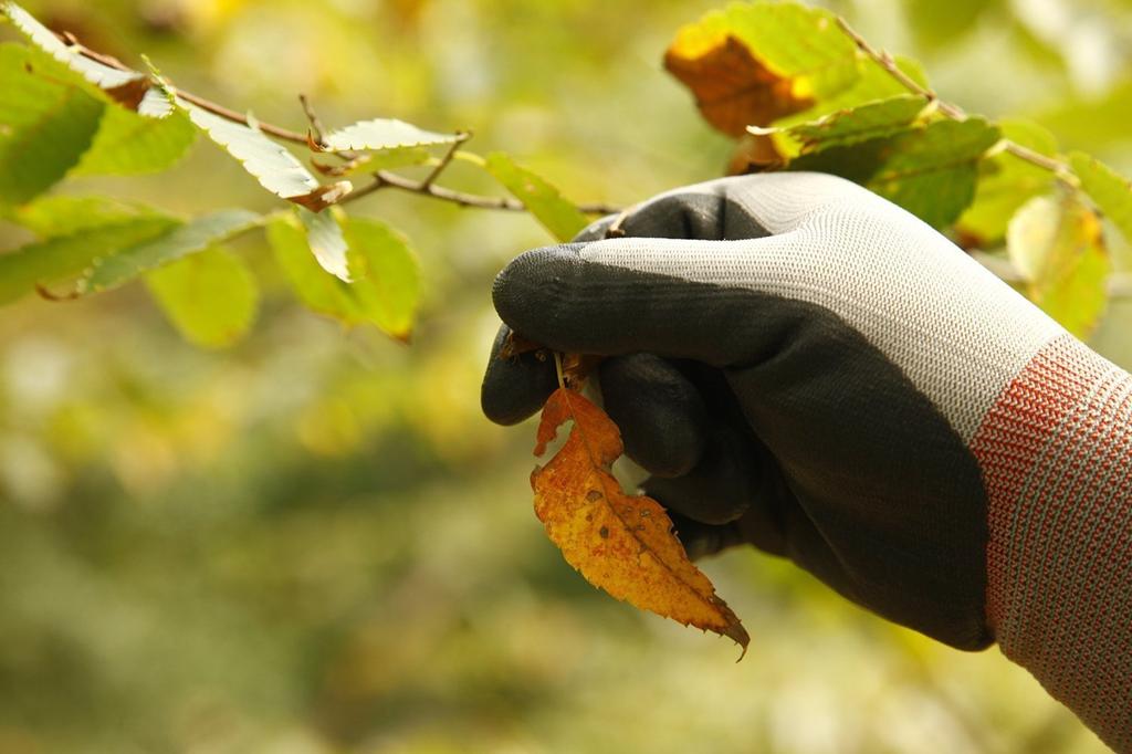 3M Comfort Grip Work Gloves, Gray, XL, 5-Pack (GLOVE-XL-5P)