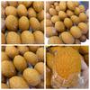 Food-themed Crunch Fried Pie Hand Relax Blocks Filled Squishy Crunchy Squeeze  Children Gifts