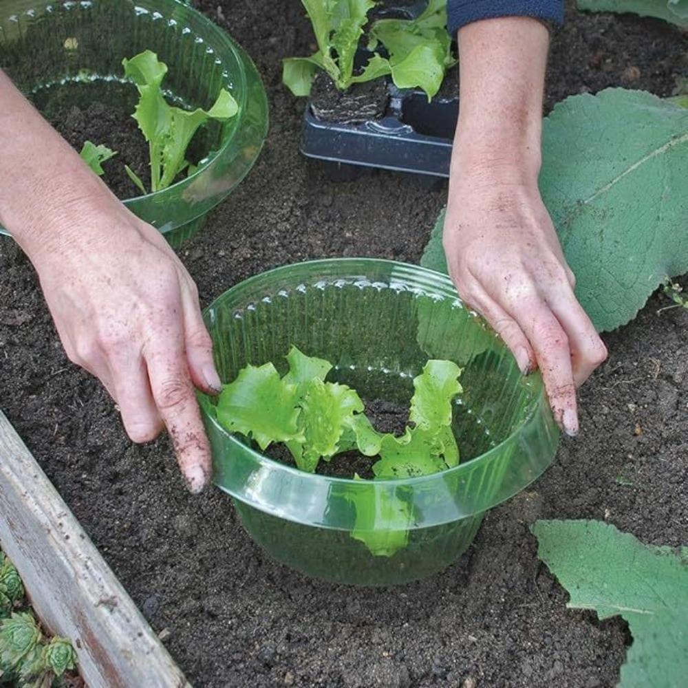 5PCS Snail Collars Plant Snail Collars Lightweight Reusable Plant Protection Collars Plastic Agricultural Plant Snail Guard