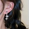 Wandelbare Stern-Ohrringe mit abnehmbarem Doppel-Anhänger Stilvolle Funkelnde Zirkon-Ohr-Accessoires für Damen