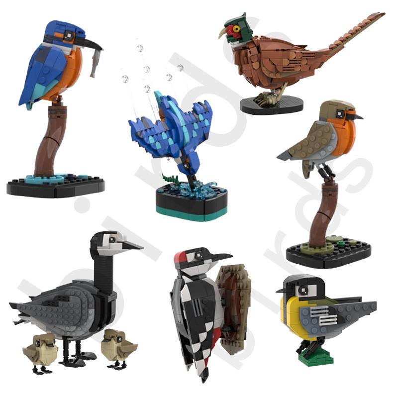Spot MOC-183592 Animal Bird Pheasant Kingfisher Diving Robin Small Particle Assembling Building Block Model Toy Gift