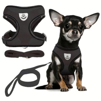 Langxingcs Pet Cat Dog Leash Set with Escape-Proof Adjustable Harness, Reflective Safety Strap and Collar, Soft Breathable Mesh Material