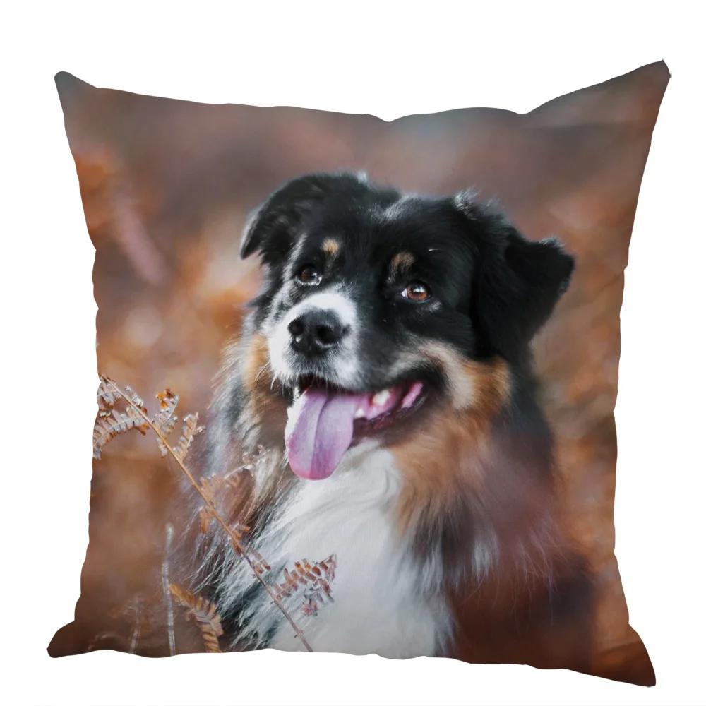 Cute Australian Shepherd Dog Pillow Case Peach Skin Decor Pet Animal Cushion Cover Thorw Pillowcase for Sofa Home Car 45x45cm