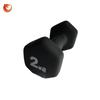 Hexagonal Frosted Dumbbell