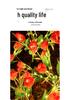2024 Solar Flower Lantern: Outdoor LED Garden Light with 7-Head Water Droplet Sweetheart Roses