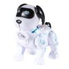 Uzaktan Kumandalı Oyuncaklar ve Dronelar – Uzaktan Kumandalı Robotlar ve Hayvanlar