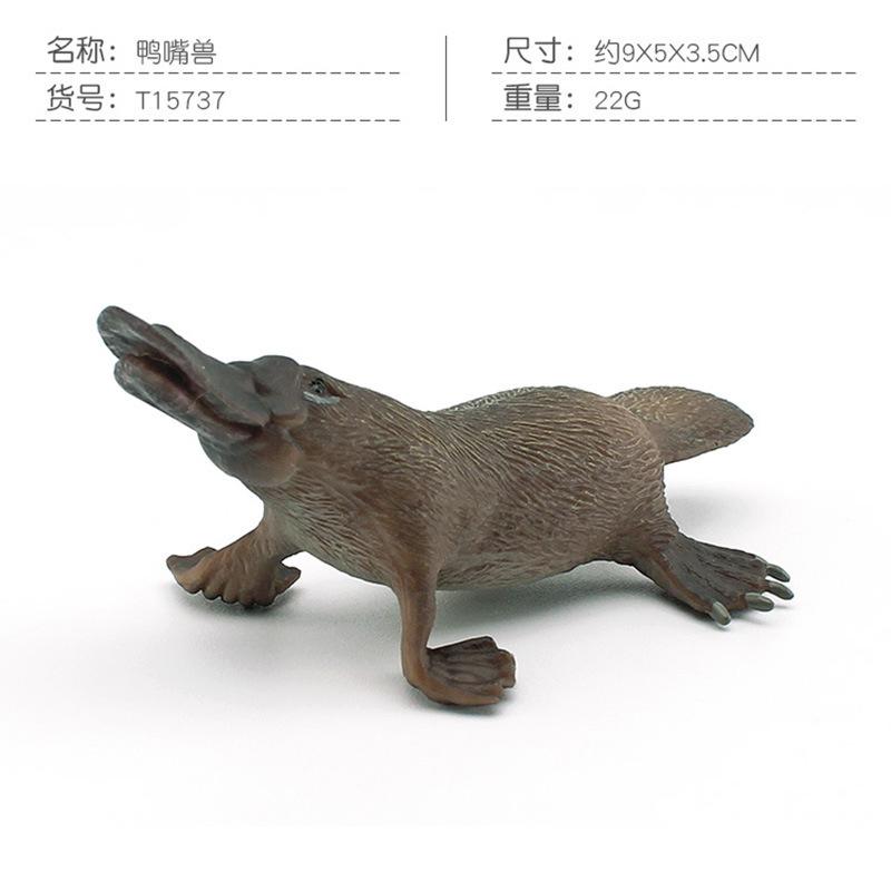 Forest Mammal Platypus Model Children'S Cognition Australian Duck Otter Tabletop Ornament